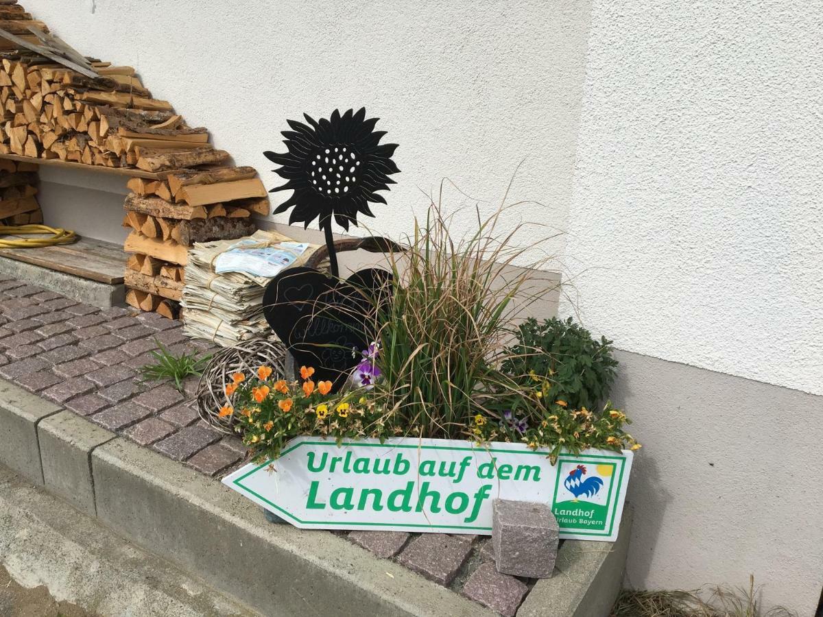 Ferienhof Am Holderbusch Apartment Fussen Bagian luar foto